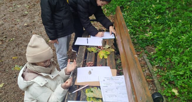 „Matematyka w parku”